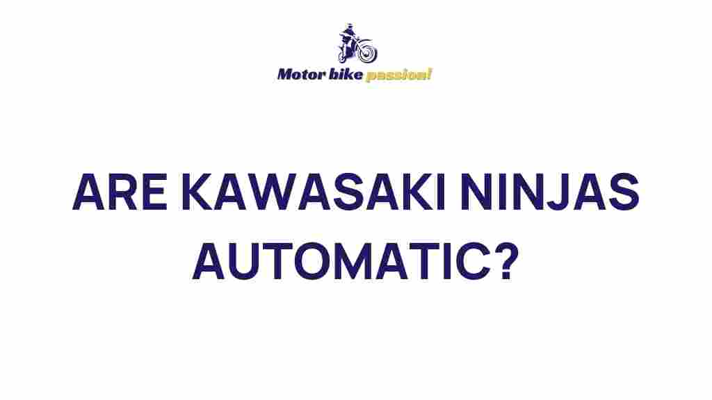/kawasaki-ninjas-automatic