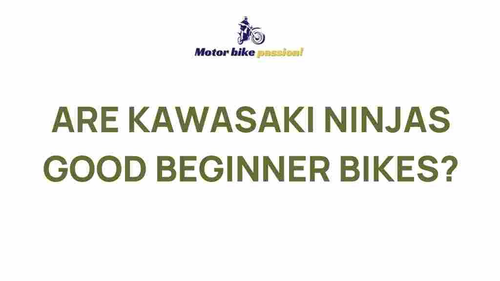 best-beginner-bikes-Kawasaki-Ninja