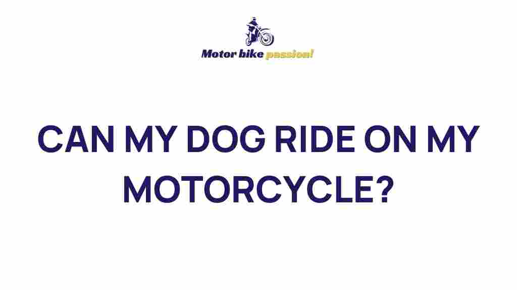 dog-motorcycle-riding