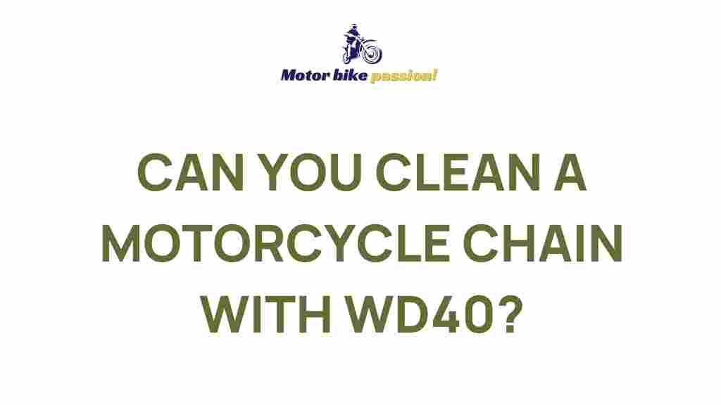 motorcycle-chain-cleaning-WD40