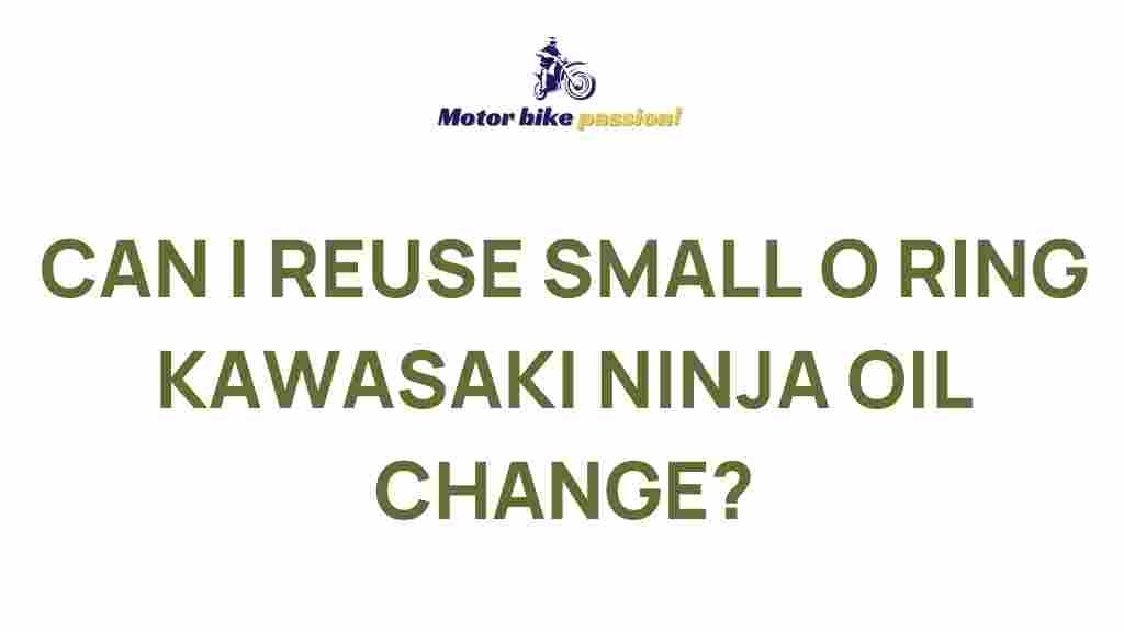 benefits-reusing-small-o-rings-kawasaki-ninja-oil-change